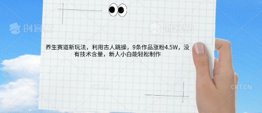 AI养生赛道新玩法,10条作品涨粉5.2W,操作简单,新人小白能轻松制作-轻创终点站